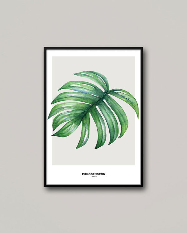 Philodendron levél aquarel poszter.